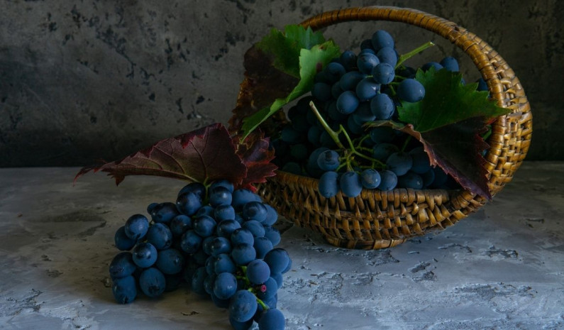 Love The Fruit of Fruits by Boone Baker