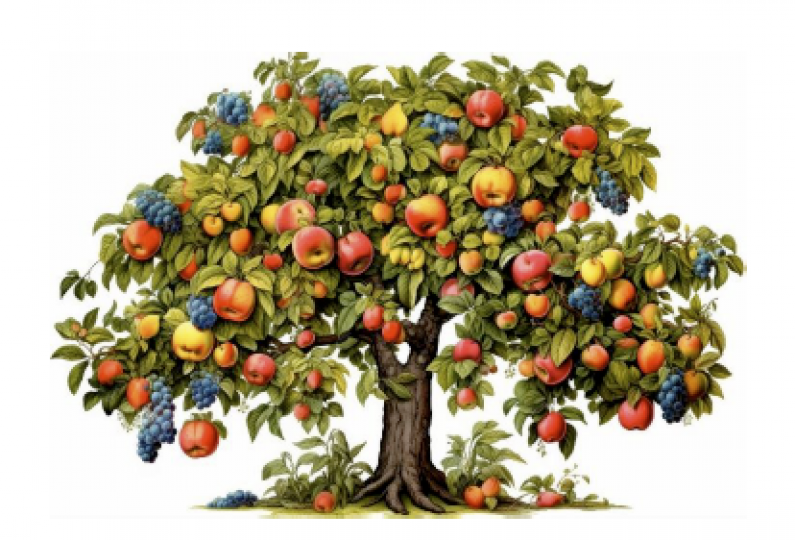 Screenshot 2026 03 16 at 3.48.07PM