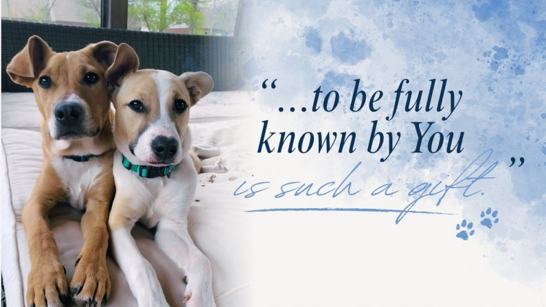sabinaspups card